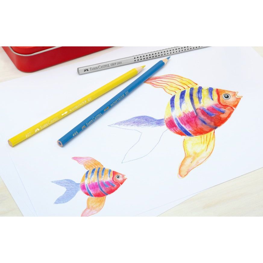 Classic Watercolour Pencils in Round Tin (FSC)
