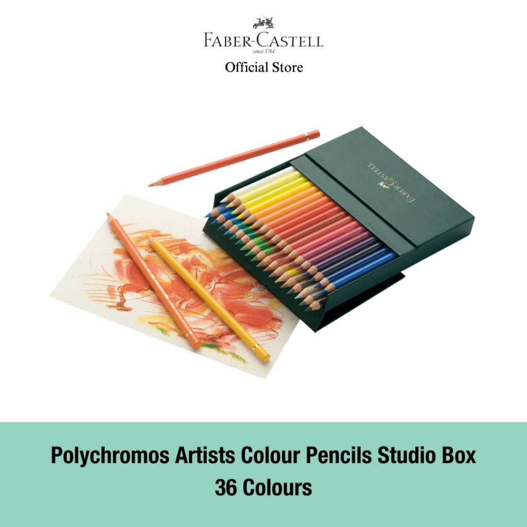 Polychromos Artists' Colour Pencil Studio Box, 36-pieces